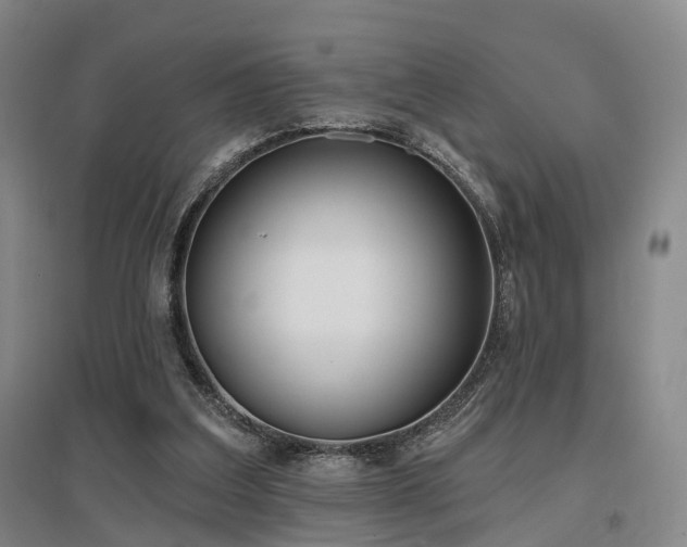 X0000097470203200802221243