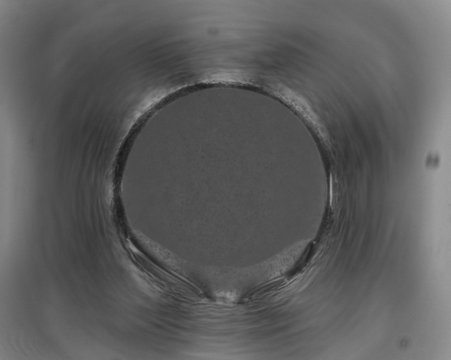 X0000097470204200802221243