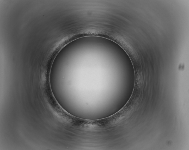 X0000097470208200802221243