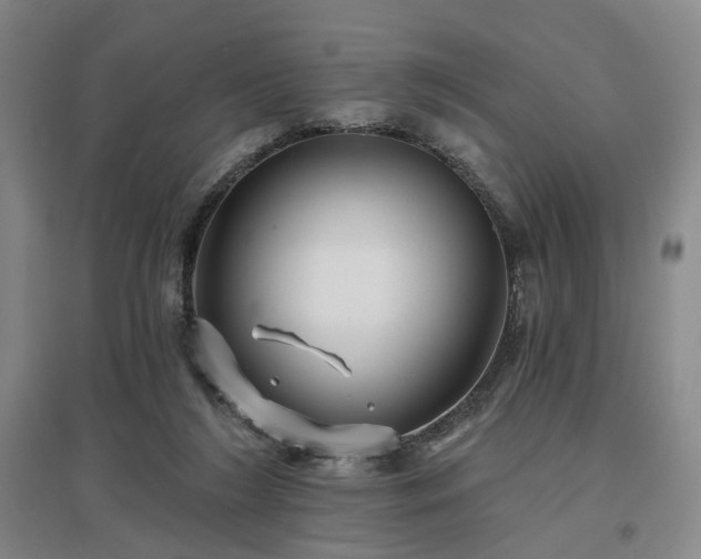 X0000097470212200802221243