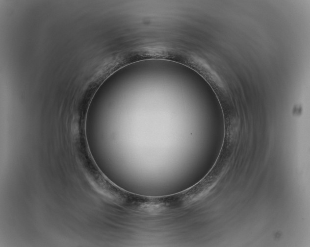X0000097470213200802221243