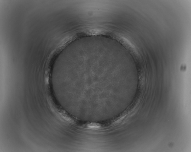 X0000097470214200802221243