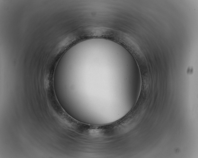 X0000097470216200802221243