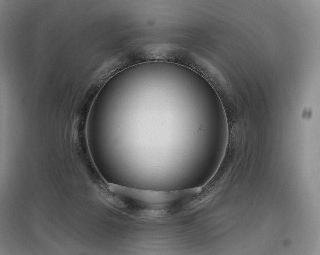 X0000097470217200802221243