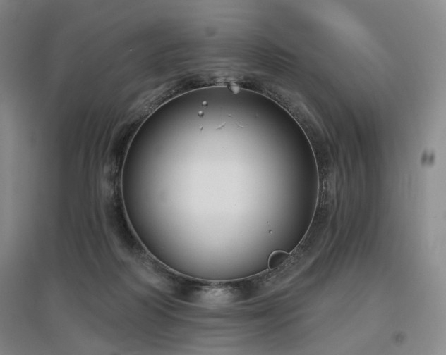 X0000097470218200802221243