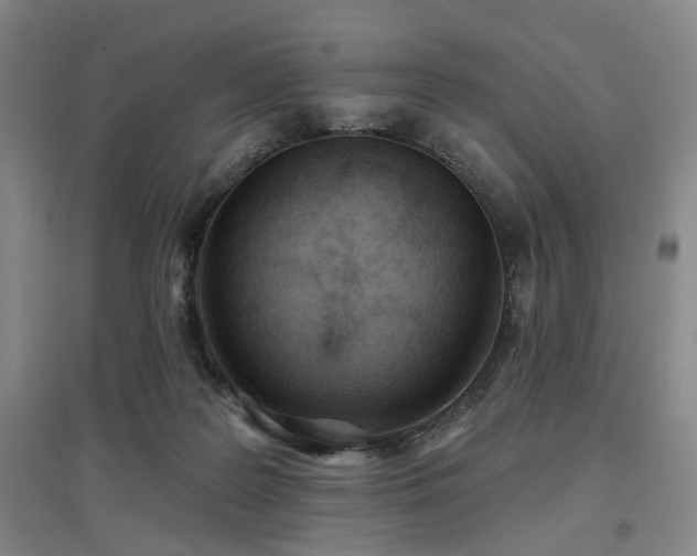 X0000097470219200802221243