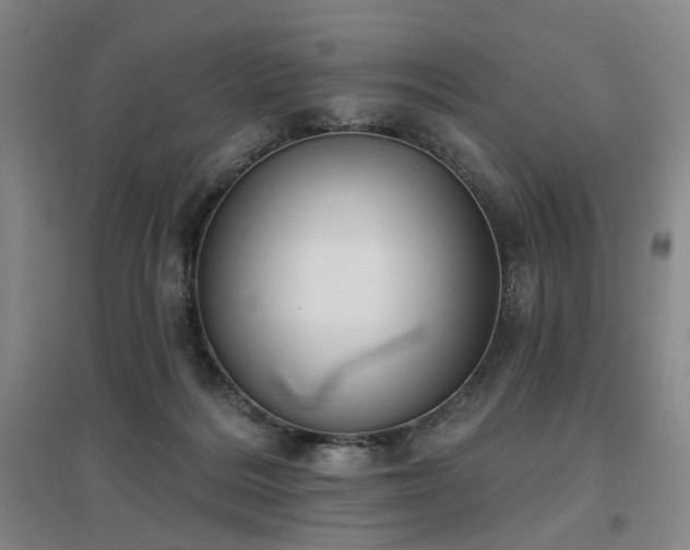 X0000097470220200802221243