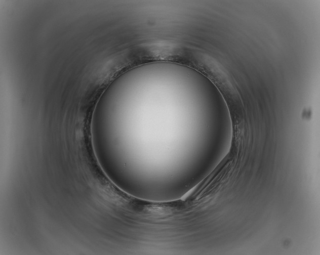 X0000097470221200802221243