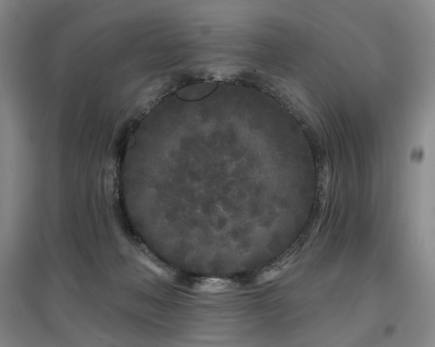 X0000097470222200802221243