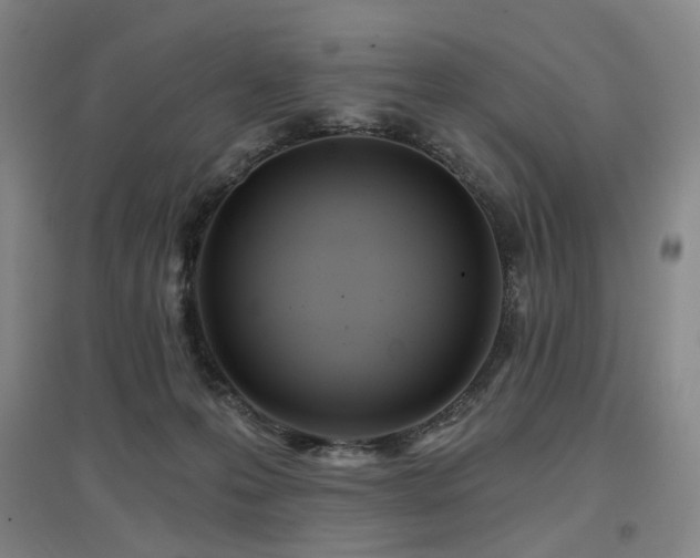 X0000097470223200802221243