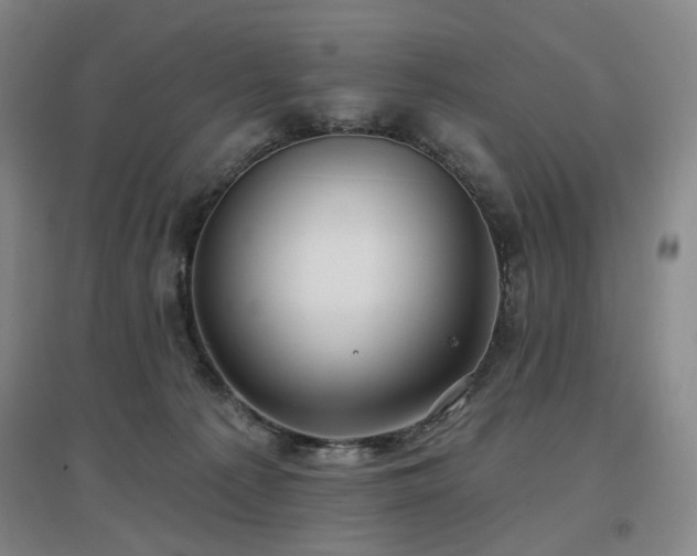 X0000097470225200802221243