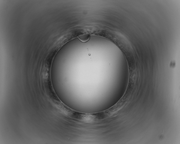 X0000097470226200802221243