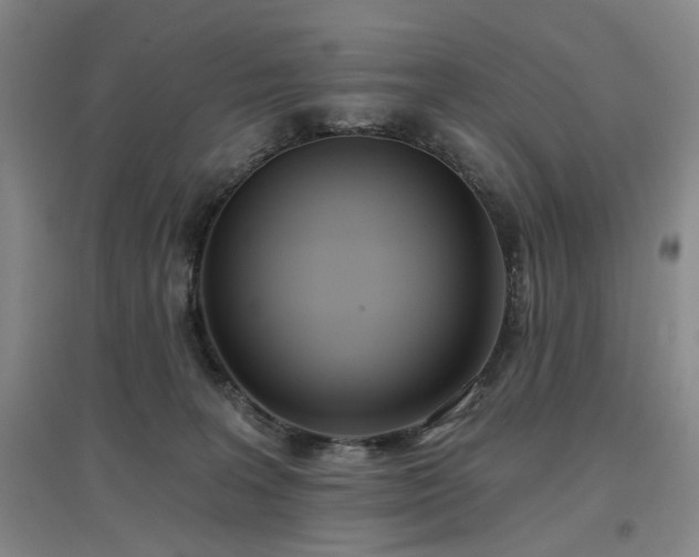 X0000097470227200802221243