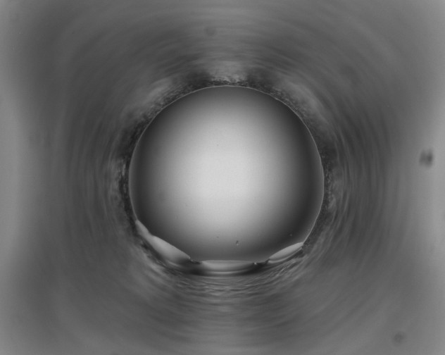 X0000097470229200802221243