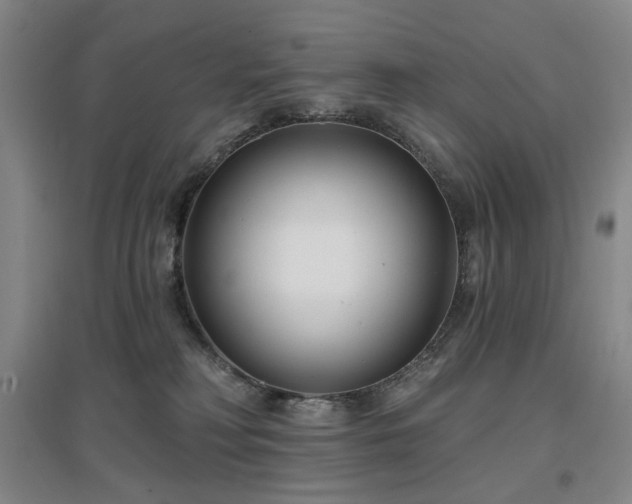 X0000097470230200802221243