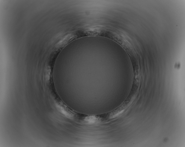 X0000097470231200802221243