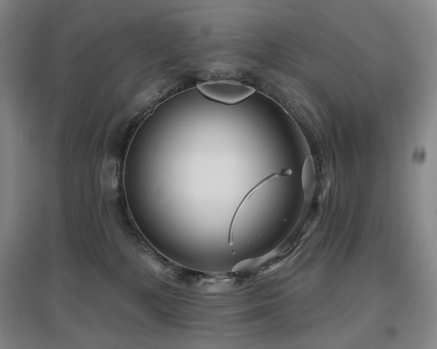 X0000097470232200802221243