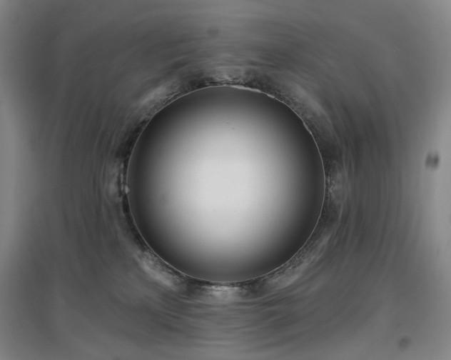 X0000097470233200802221243