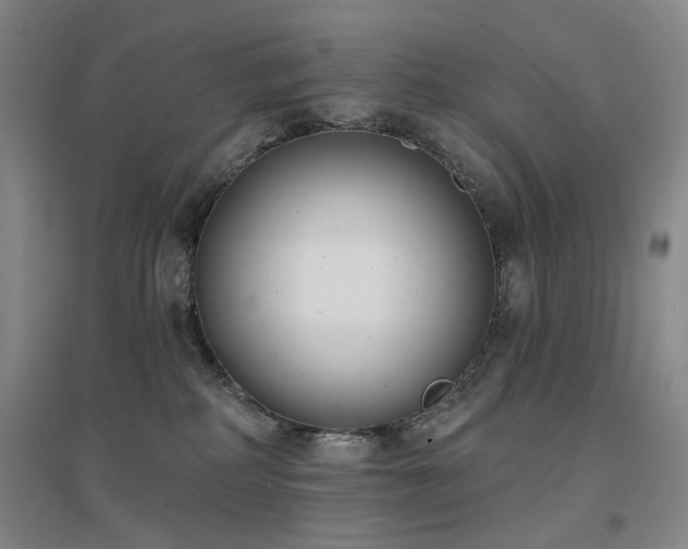 X0000097470234200802221243