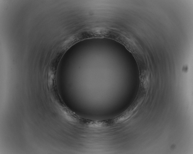 X0000097470235200802221243