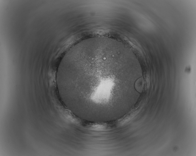 X0000097470236200802221243