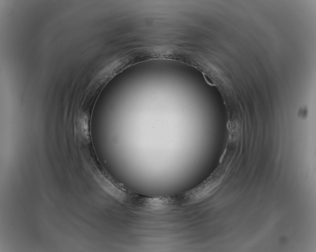 X0000097470238200802221243