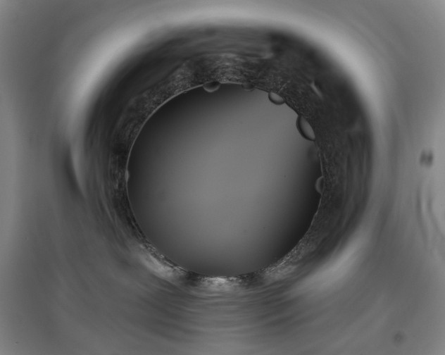 X0000097470239200802221243