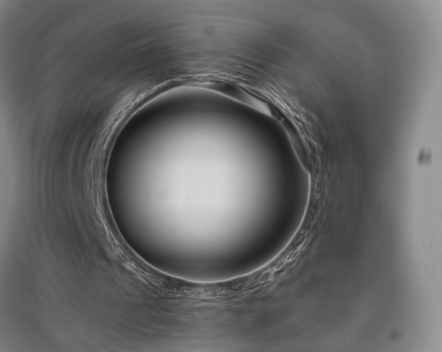 X0000097470241200802221242
