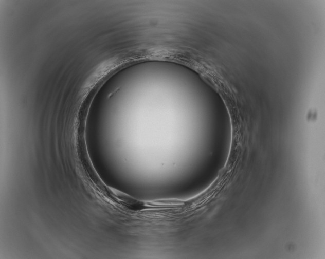 X0000097470242200802221242