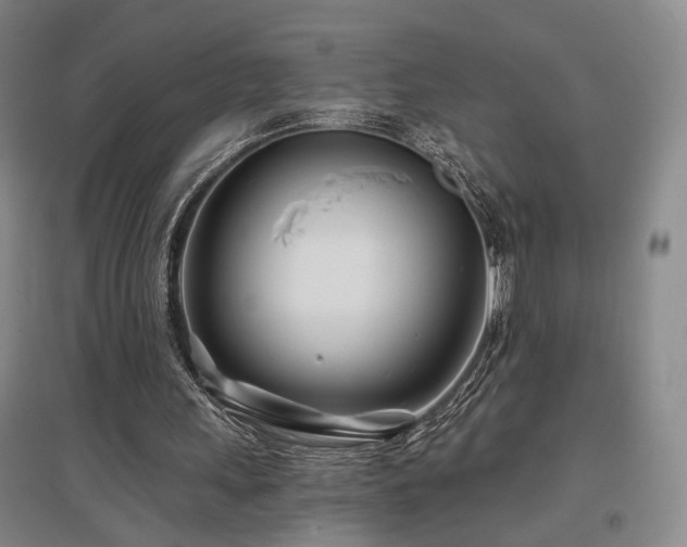 X0000097470243200802221242