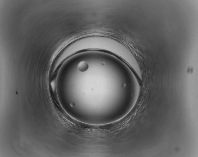 X0000097470244200802221242