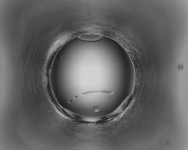 X0000097470245200802221242