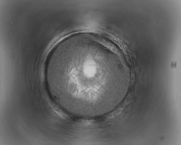 X0000097470247200802221242
