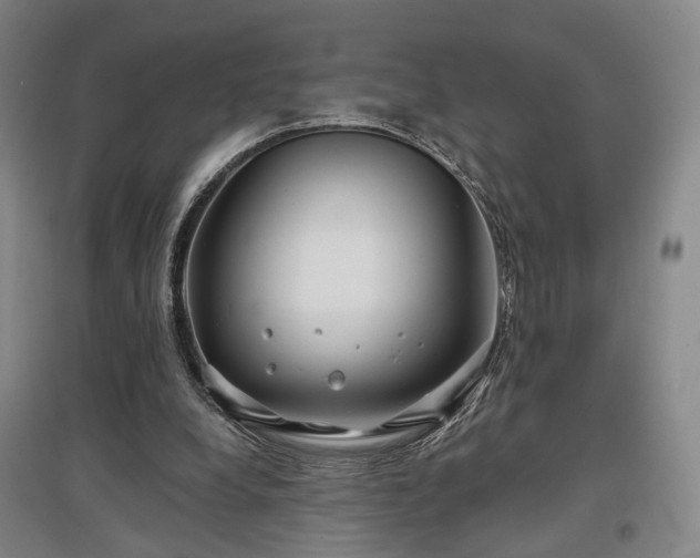 X0000097470248200802221242