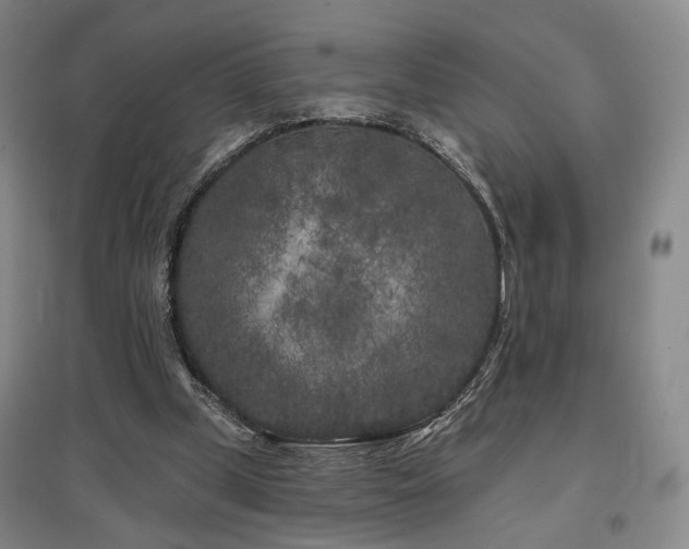 X0000097470249200802221242