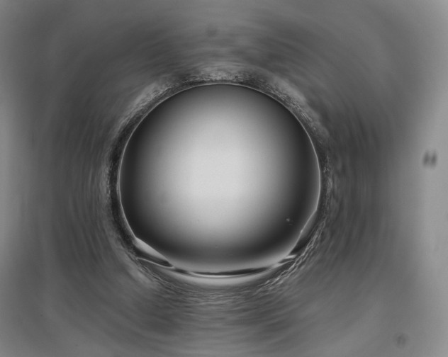X0000097470250200802221242