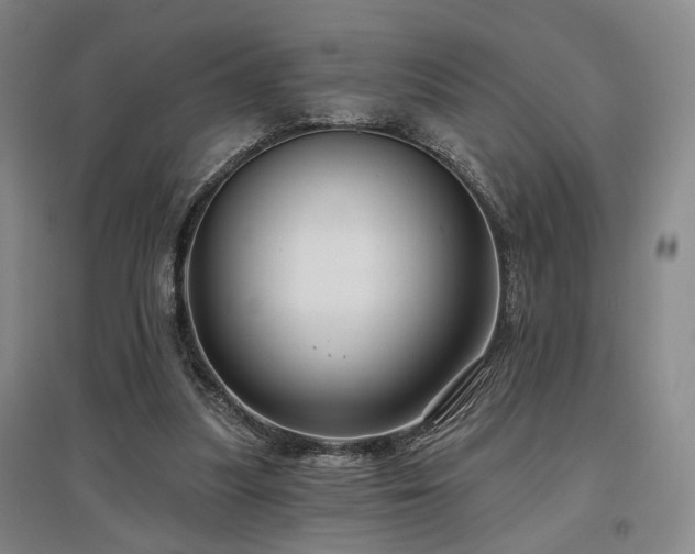 X0000097470251200802221242