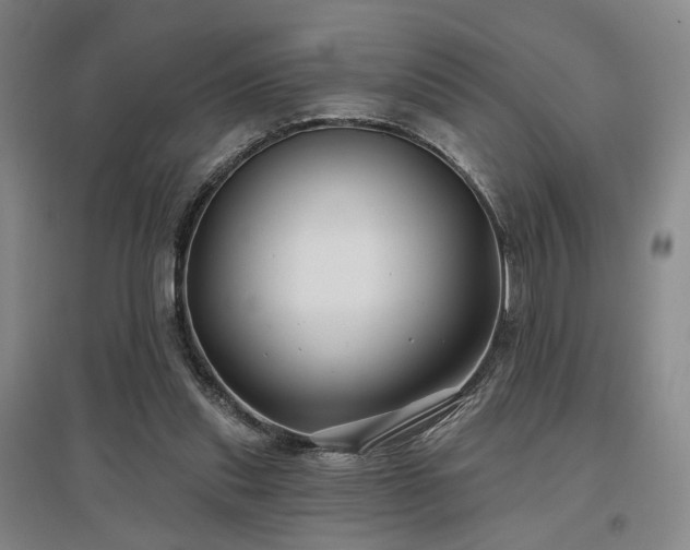X0000097470253200802221242