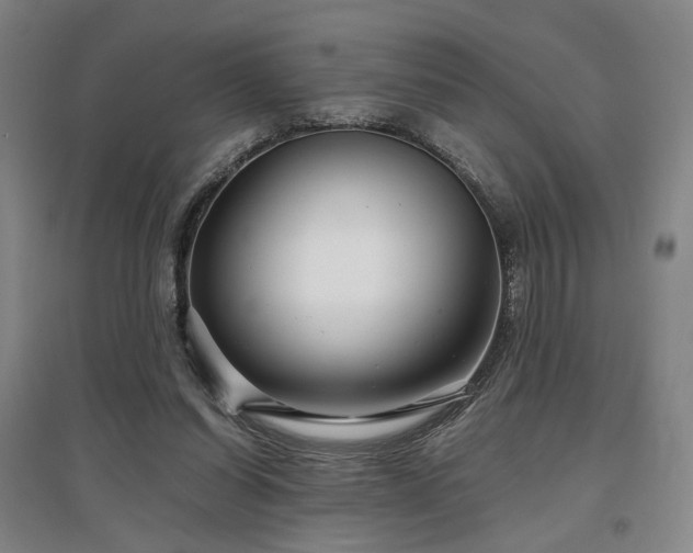 X0000097470254200802221242