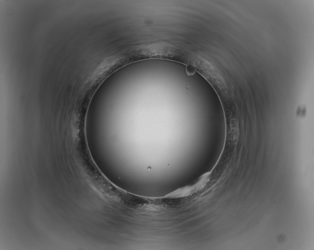 X0000097470255200802221242