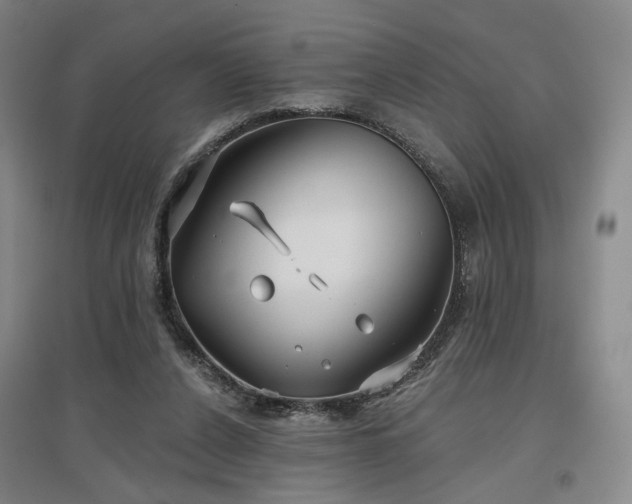 X0000097470256200802221242