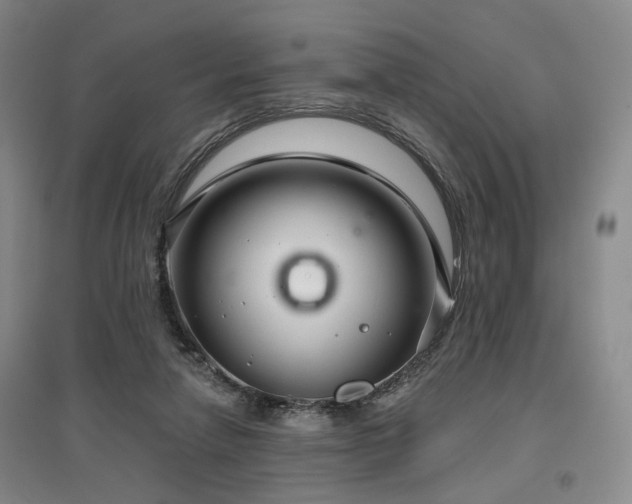 X0000097470258200802221242