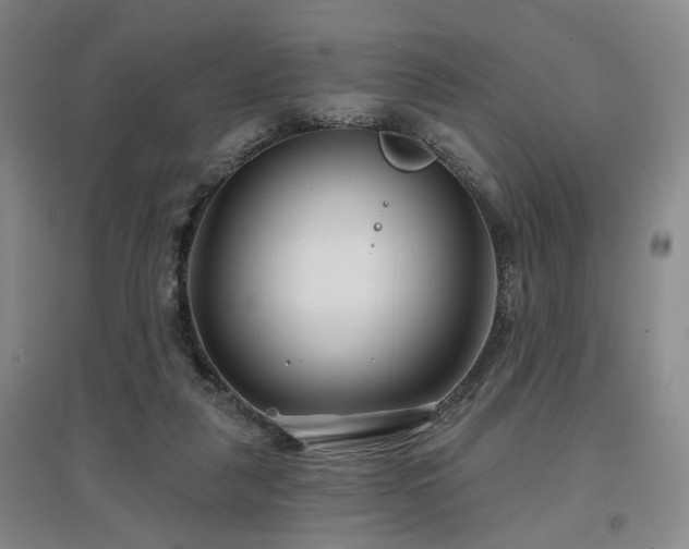 X0000097470259200802221242