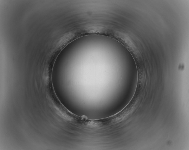 X0000097470261200802221242
