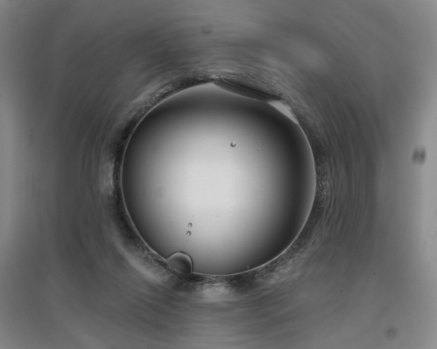 X0000097470262200802221242