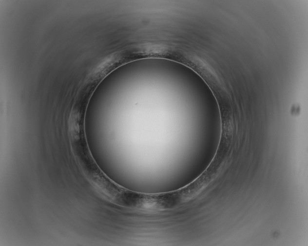 X0000097470264200802221242