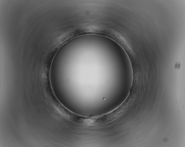 X0000097470265200802221242