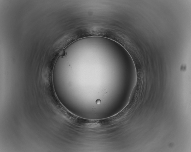 X0000097470266200802221242