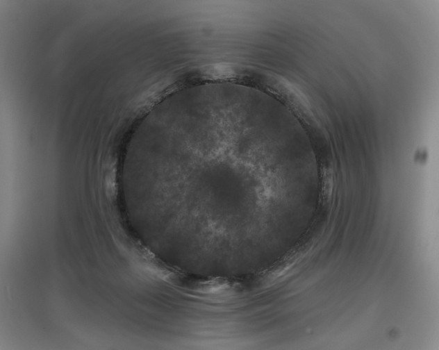 X0000097470267200802221242