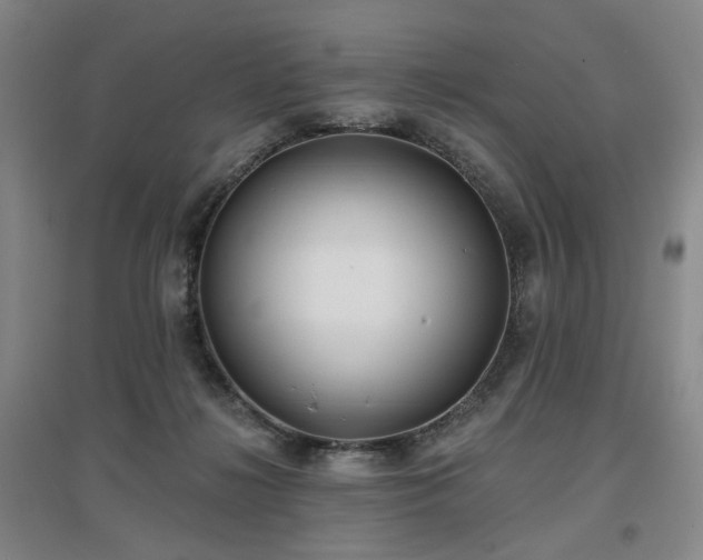 X0000097470268200802221242
